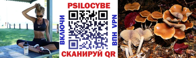Галлюциногенные грибы MAGIC MUSHROOMS  Курск 